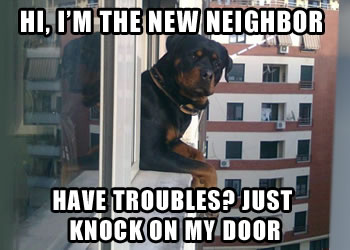 Neighborhood Security Dog